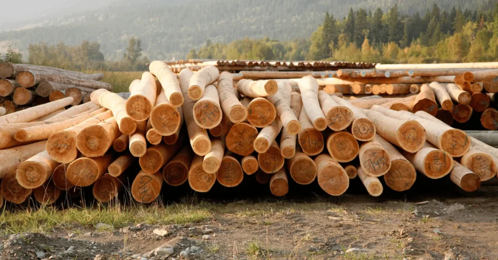 Again wood logs